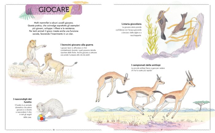 Vivere Uno sguardo nuovo sugli animali giocare