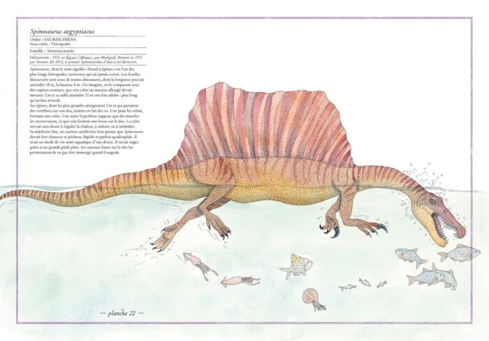 Inventario illustrato dei dinosauri spinosaurus