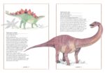 Inventario illustrato dei dinosauri apatosaurus