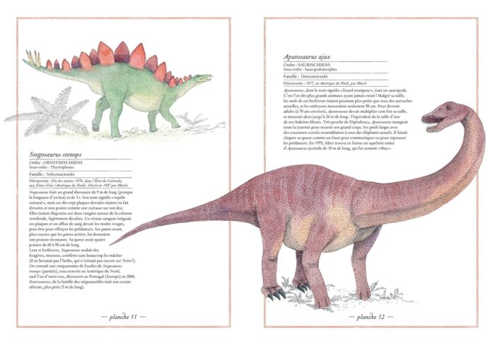 Inventario illustrato dei dinosauri apatosaurus